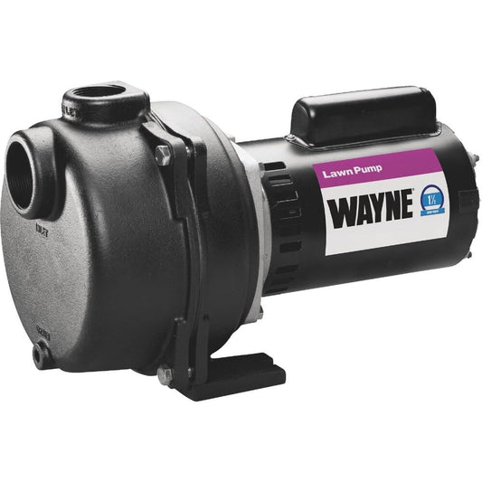 WAYNE WLS150 1.5 HP Cast Iron Lawn Sprinkling Pump, 2950 GPH