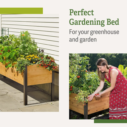 Gardener's Supply Elevated Cedar Raised Garden Bed – 2' x 8'